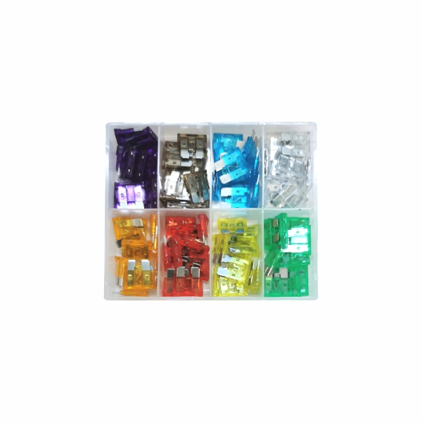 ASSORTED CAR FUSE LARGE +/-100PC