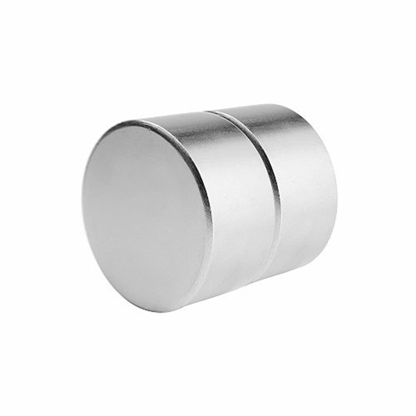 RARE EARTH MAGNET 8X5mm 2PC PP
