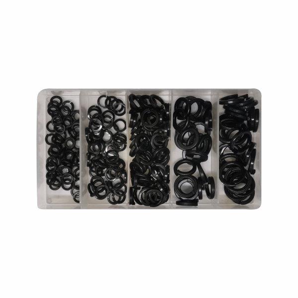 ASS SPRING WASHER 200PC