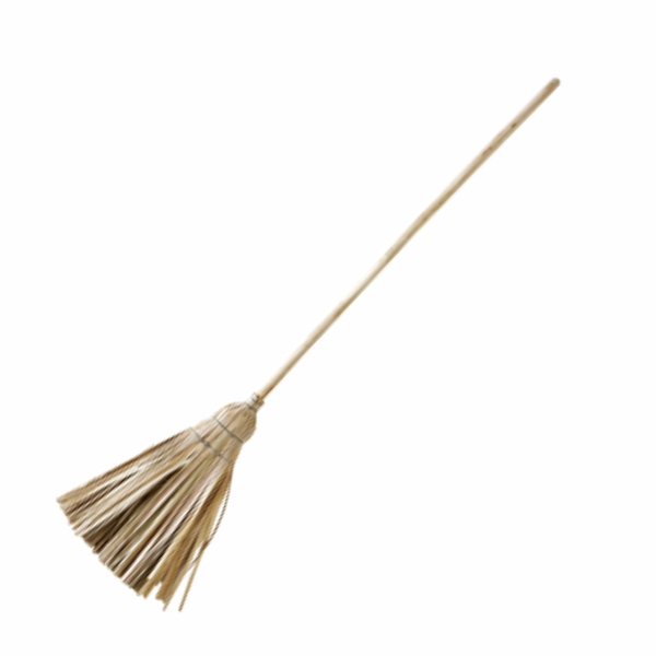 BROOM GRASS