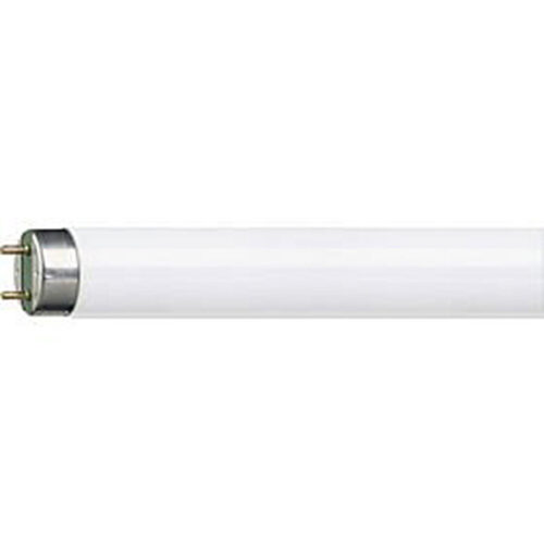 FL TUBE 1.2M (4FT) THIN 2 PIN