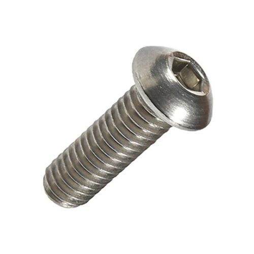 CAP SCR 304 M3 X10 BUTTON HD