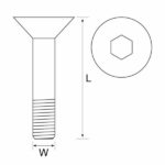 CAP SCREW CSK 10.9 BLK 16 X 100