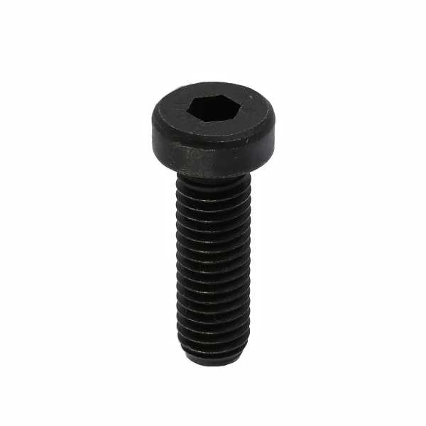 CAP LOW HEAD 8 X 30