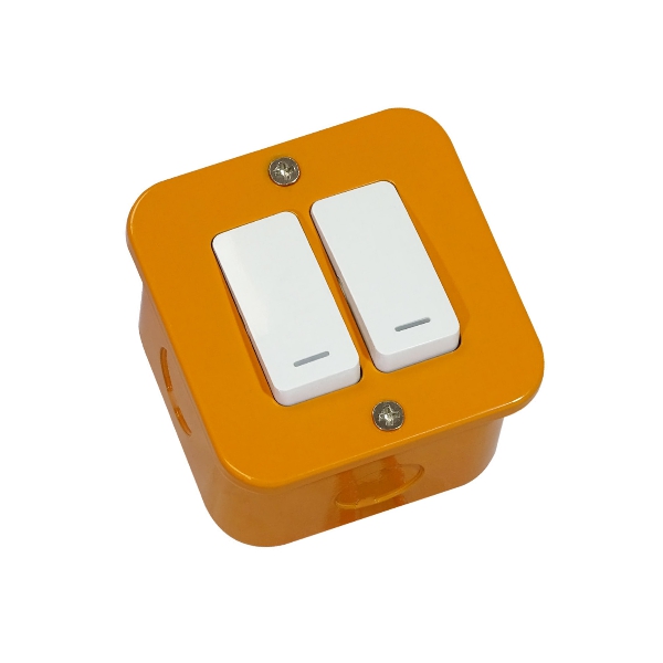 IND LIG SWITCH COMP 2LEV VETI